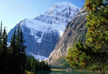 关于欧篮联赛程吃紧，尤文图斯赛后伤情更新，悬念犹存，高层口径保持一致的信息-麻将胡了app